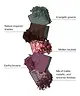By BEAUTY BAY - Botanical 42 Colour Palette