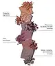 By BEAUTY BAY - Neutral 16 Colour Palette