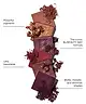 By BEAUTY BAY - Rich 16 Colour Palette