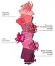 By BEAUTY BAY - Berries 42 Colour Palette