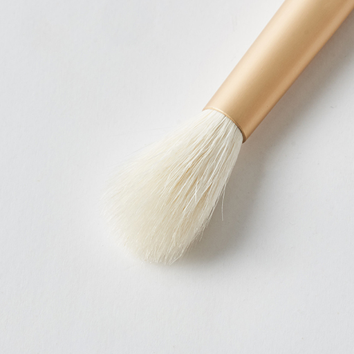 Eye Brushes