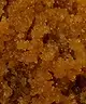 Jeffree Star Cosmetics - Velour Lip Scrub