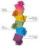 By BEAUTY BAY - Bright Matte 42 Colour Palette