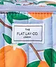 The Flat Lay Co. - The Showcase Extra Large 