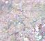 GLIS0184F