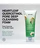 ANUA - Heartleaf Quercetinol Pore Deep Cleansing Foam