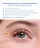 Babe Original - Enhancing Lash Conditioner