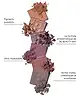 By BEAUTY BAY - Neutral 42 Colour Palette