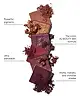 By BEAUTY BAY - Rich 9 Colour Palette
