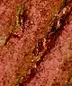 Danessa Myricks Beauty - Infinite Chrome Flakes