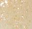 ELFC0119F