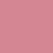 ICON0173F
