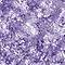 GLIS0036F