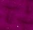 GLIS0074F