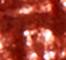 GLIS0078F