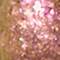 GLIS0100F