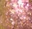 GLIS0100F