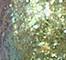 GLIS0103F