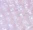 GLIS0111F