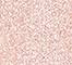 JOCO0032F