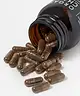 KIKI Health - Organic Chaga Mushroom Extract