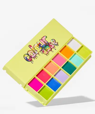 Made By Mitchell - Colour Case Cosmetic Paint Palette The Electrics