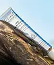 Planet Revolution - The Everything Balm Aloe Vera & Olive Oil
