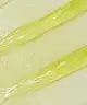Revolution Skincare - Revolution Skincare x Jake Jamie Lemon Meringue Lip Mask