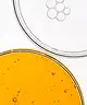 Seasonly - Tan Booster Face Oil