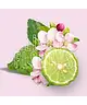 Shay & Blue - English Cherry Blossom Fragrance Eau de Parfum
