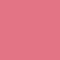 ICON0172F