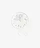 The Ordinary - Salicylic Acid 2% Solution