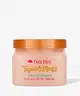 Tree Hut - Shea Sugar Scrub